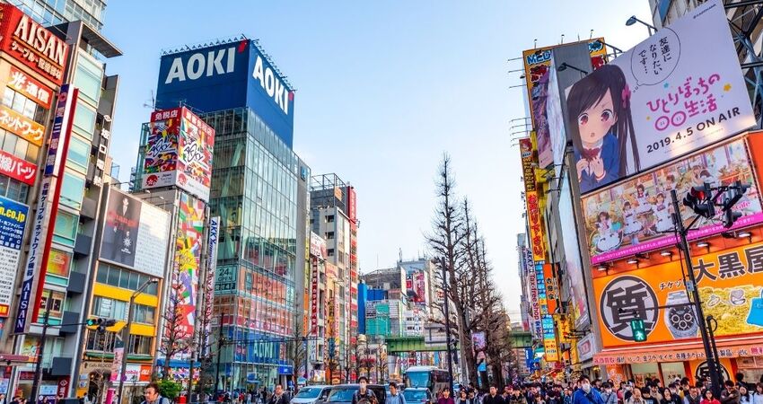 Elegant Japonya - Güney Kore (ICN-NRT) - 9 Gece - Koyo Zamanı - 2025 - Ekstra Turlar Dahil