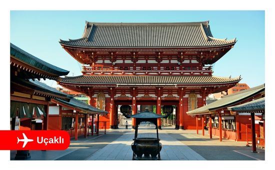 Elegant Japonya - Güney Kore (ICN-NRT) - 9 Gece - Koyo Zamanı - 2025 - Ekstra Turlar Dahil